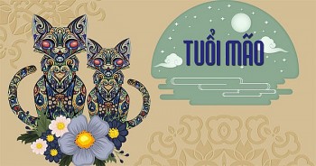 Tử vi tuần mới tuổi Mão (13/9 đến 19/9/2021): Sự nghiệp gặp nhiều thách thức