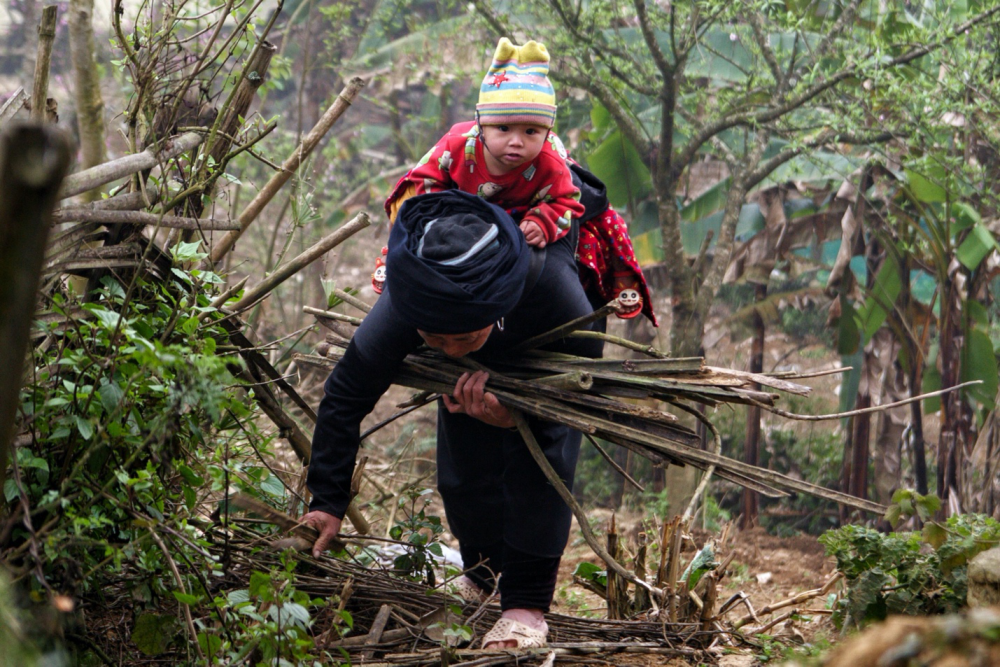 Những phụ nữ người Mông cõng 