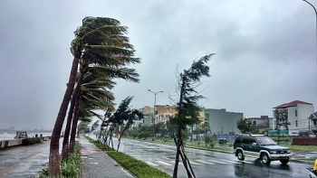 Diễn biến bão số 10: Trưa ngày 5/11, bão tiến vào vùng biển từ Quảng Ngãi đến Khánh Hòa