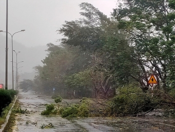 Diễn biến bão số 13 (Bão Vamco): Đi vào biển Đông gây mưa lớn, gió giật cấp 15