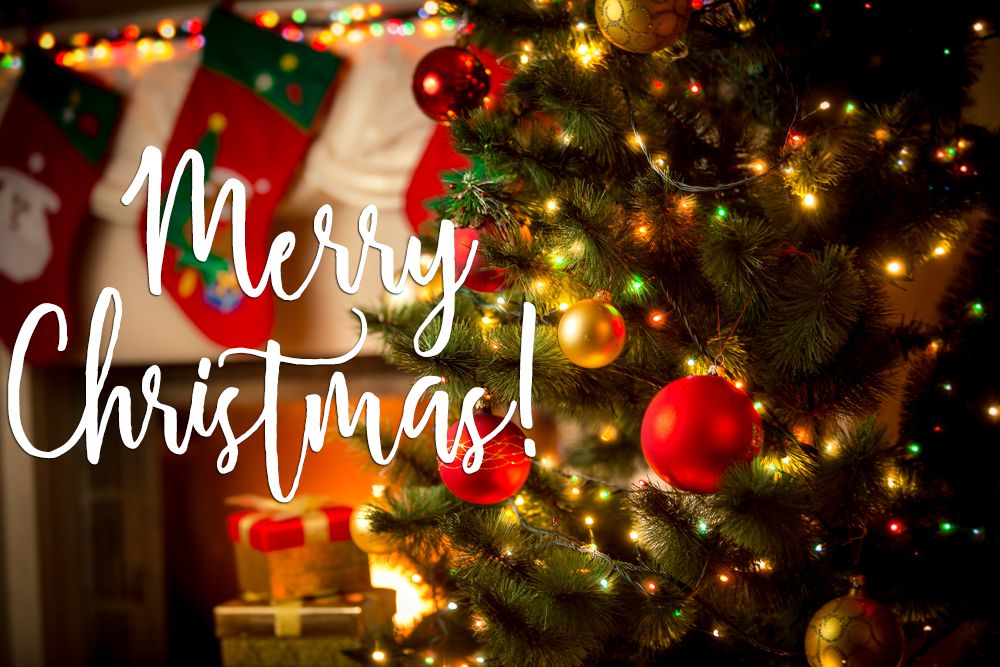 Mùa Giáng sinh đã đến, hãy cùng nhau thưởng thức những bài hát Noel đầy lãng mạn và ý nghĩa. Những giai điệu tuyệt vời này sẽ khiến bạn bồi hồi và xúc động đến ngỡ ngàng.