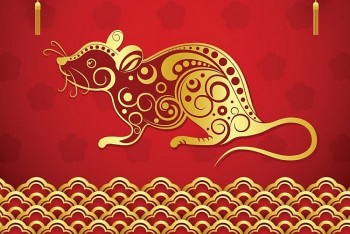 Tử vi tuổi Tý tháng 1/2022: Vận khí hanh thông, mưu sự suôn sẻ