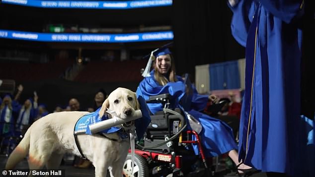 Chú chó Justin nhận bằng tốt nghiệp cùng cô chủ Grace Mariani