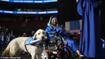 Nhờ đi học đều đặn, chú chó được nhận bằng đại học danh dự
