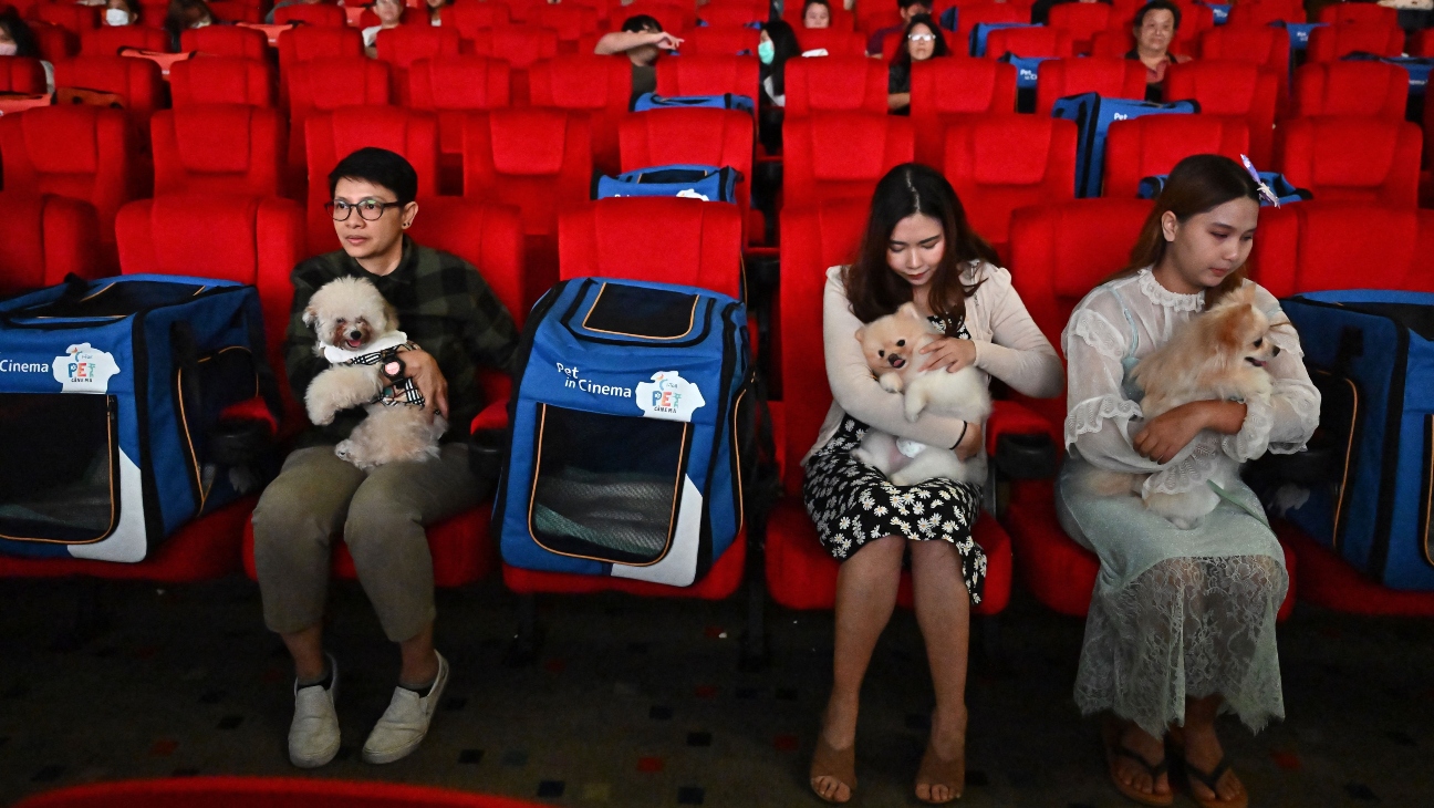 Rạp phim châu Á sử dụng nhiều chiêu độc lạ để hút khách