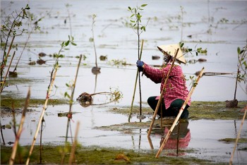 Biến đổi khí hậu và sự bình đẳng của phụ nữ