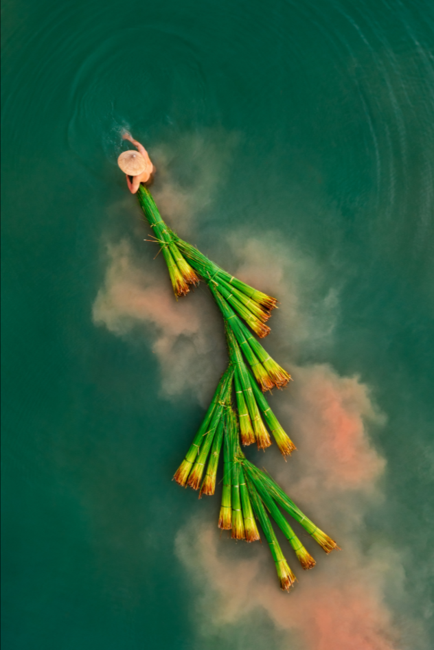 Tác phẩm “Thu hoạch cỏ bàng” của tác giả Nguyễn Hữu Bính vào vòng cuối mục ảnh Du lịch.