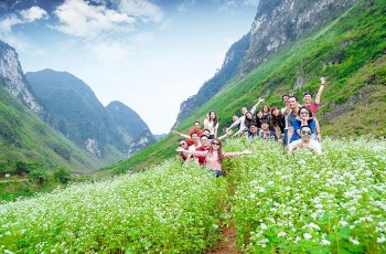 Nhiều du khách đến Hà Giang sau khi mở cửa du lịch