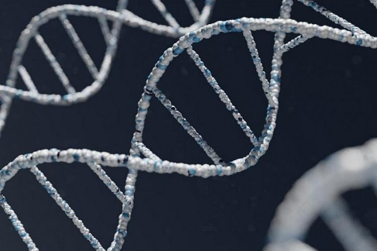 Bộ gien hoàn chỉnh bao gồm 3,055 tỷ cặp cơ sở tạo các nhiễm sắc thể và gien cùng 19.969 gien mã hóa protein. Ảnh minh họa: Straitstimes