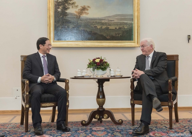 Bộ trưởng Ngoại giao Bùi Thanh Sơn chào xã giao Tổng thống Đức Frank-Walter Steinmeier