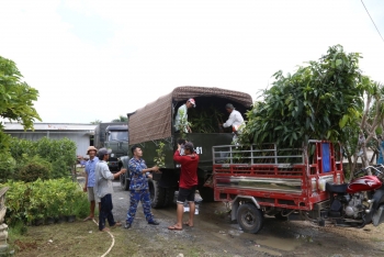 Vùng 4 Hải quân tiếp nhận 15.000 cây ăn quả do tỉnh Bến Tre tài trợ