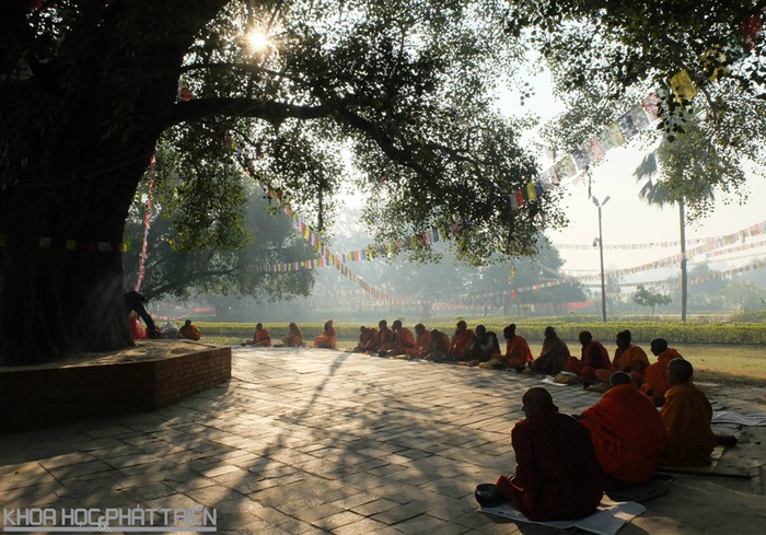 dai le vesak 2019 co hoi tang cuong tinh huu nghi hop tac