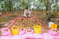 Hơn 1400 vật liệu chưa nổ tại Triệu Phong (Quảng Trị) được MAG xử lý an toàn