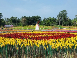 Philippines: Vườn tulip lung linh "nảy mầm" từ rác thải nhựa